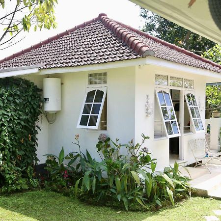 Pondok Plantation Luxury Mountain Escape Bedugul Bedugul  Bagian luar foto