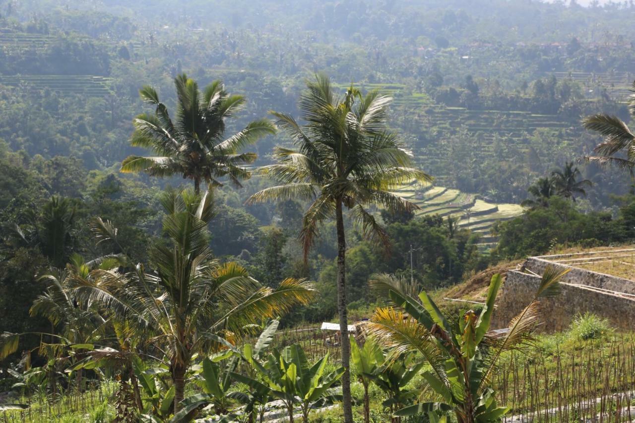 Pondok Plantation Luxury Mountain Escape Bedugul Bedugul  Bagian luar foto