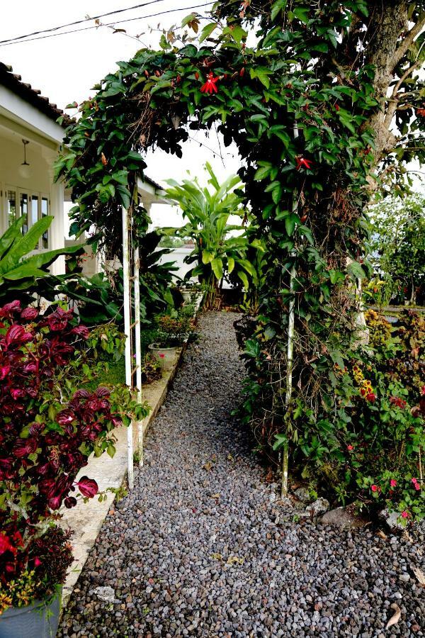Pondok Plantation Luxury Mountain Escape Bedugul Bedugul  Bagian luar foto
