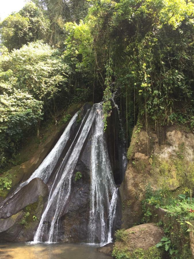 Pondok Plantation Luxury Mountain Escape Bedugul Bedugul  Bagian luar foto