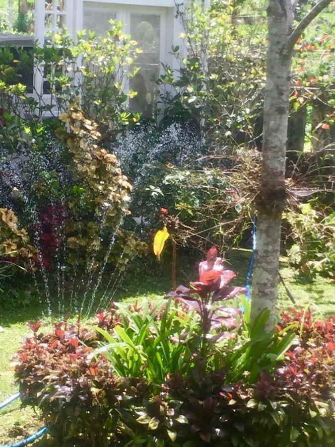 Pondok Plantation Luxury Mountain Escape Bedugul Bedugul  Bagian luar foto