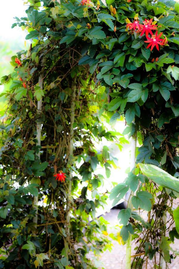 Pondok Plantation Luxury Mountain Escape Bedugul Bedugul  Bagian luar foto