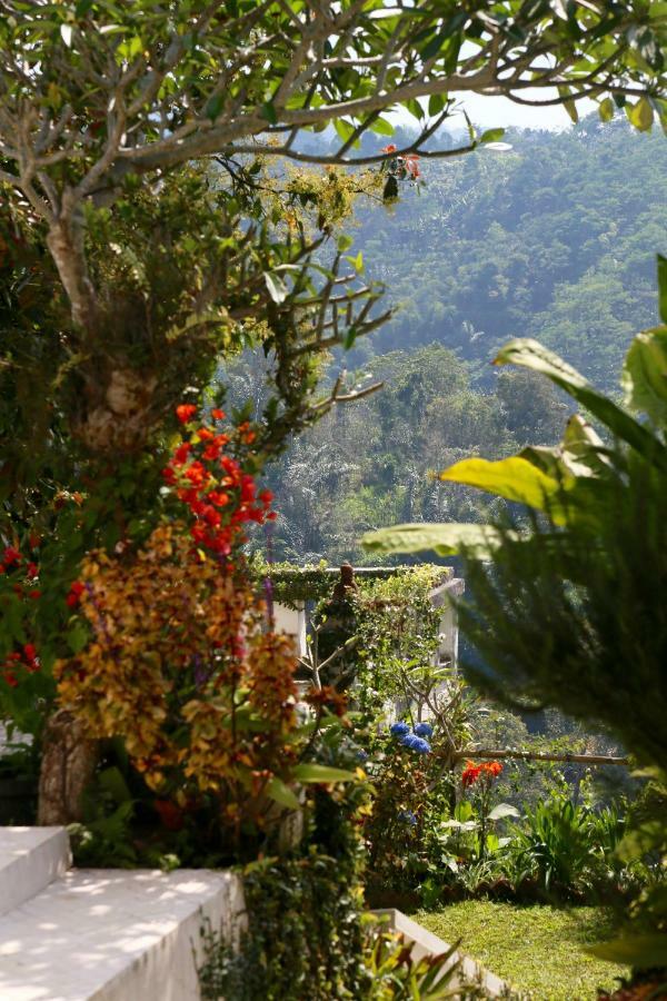 Pondok Plantation Luxury Mountain Escape Bedugul Bedugul  Bagian luar foto