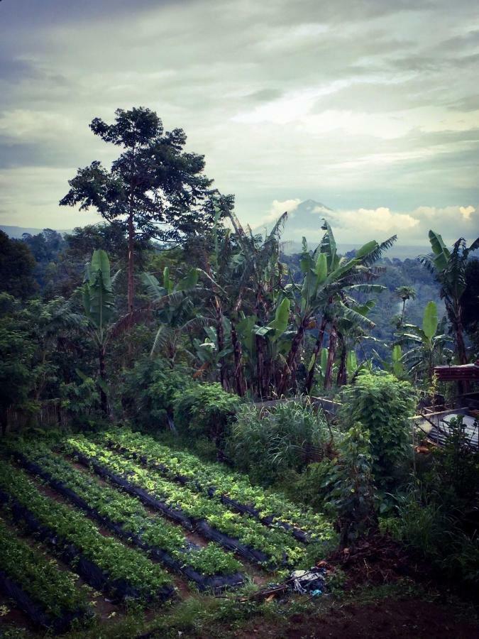 Pondok Plantation Luxury Mountain Escape Bedugul Bedugul  Bagian luar foto